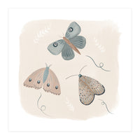 Moths in the moonlight  (Print Only)