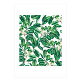 Botanica (Print Only) thumbnail