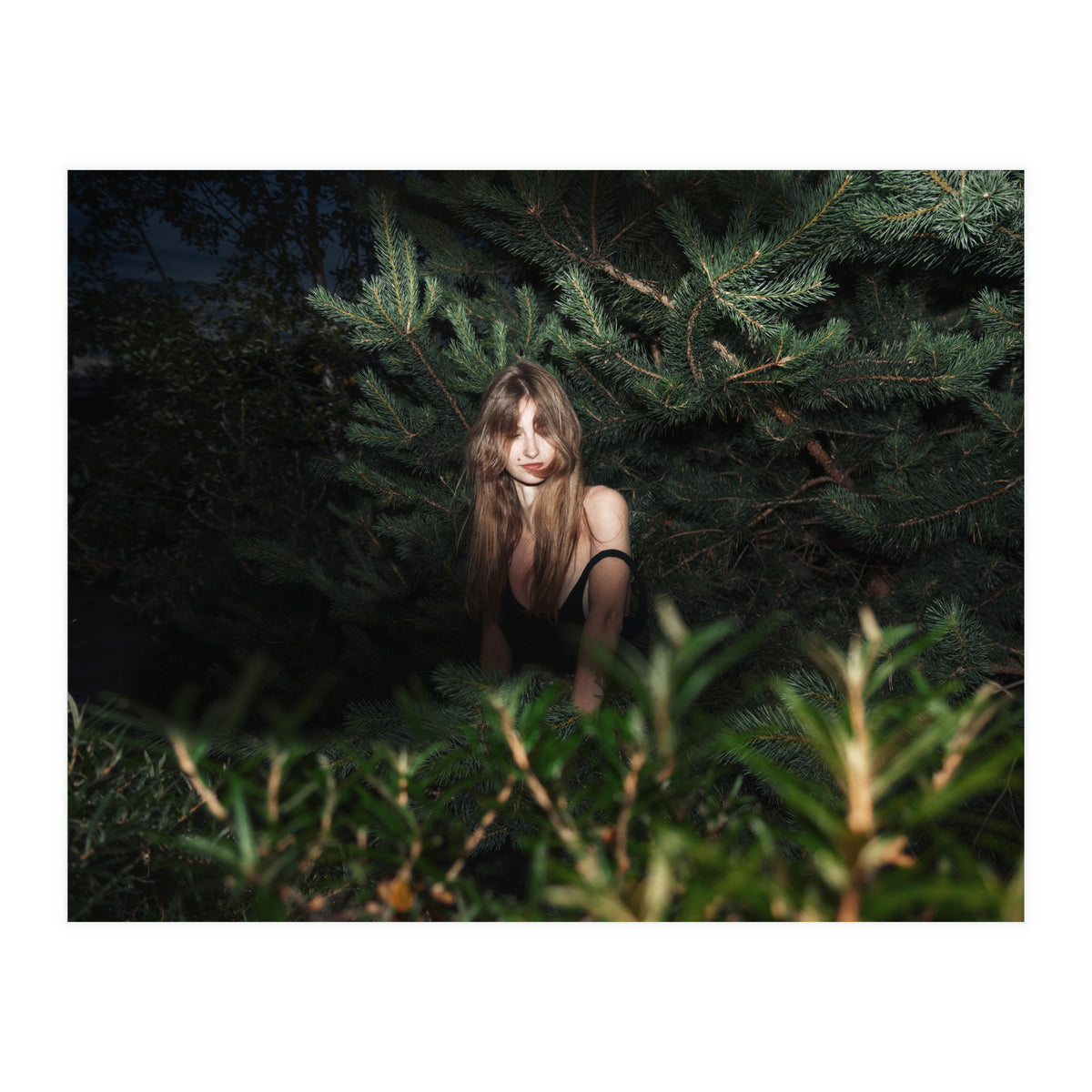 Hiding Game (Print Only)