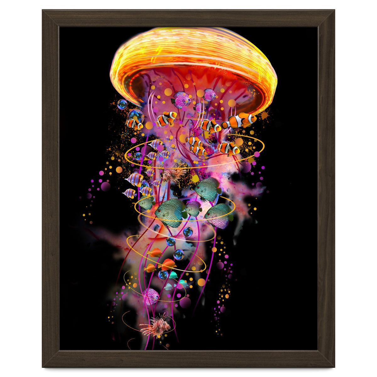 Jelly Fish Ride Summer2018 Dbh