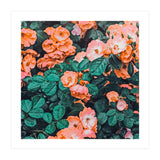 Vintage Blossom Ii (Print Only) thumbnail
