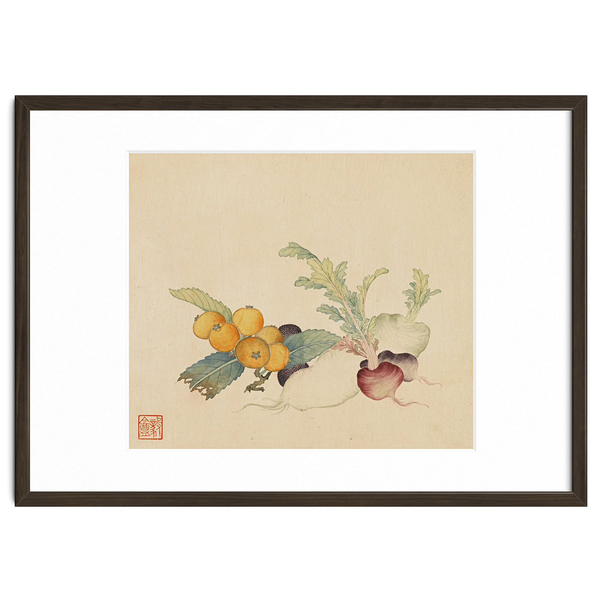 Wang Chengpi~flowers And Vegetables, Vegetables, Fruits, Loquat, White Radish, Carrot, Radish