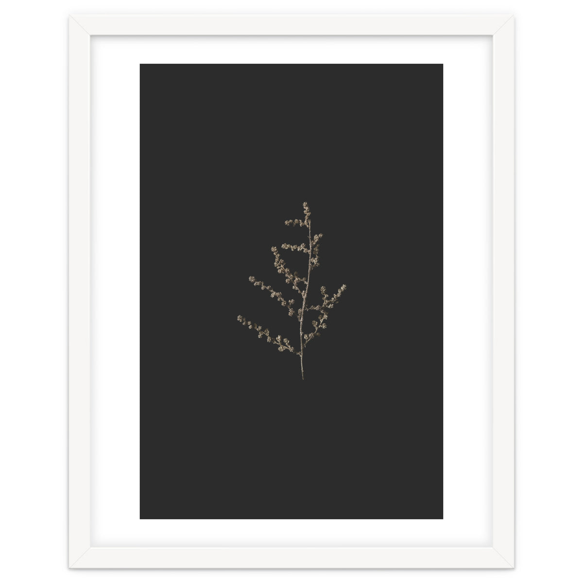 Dainty Botanicals in Gold and Black