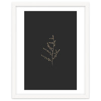 Dainty Botanicals in Gold and Black