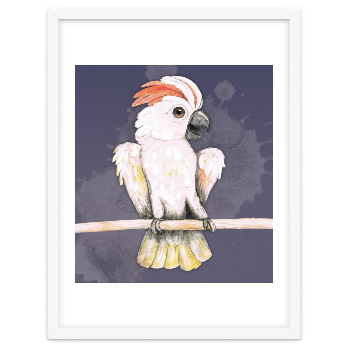 Salmon-crested cockatoo