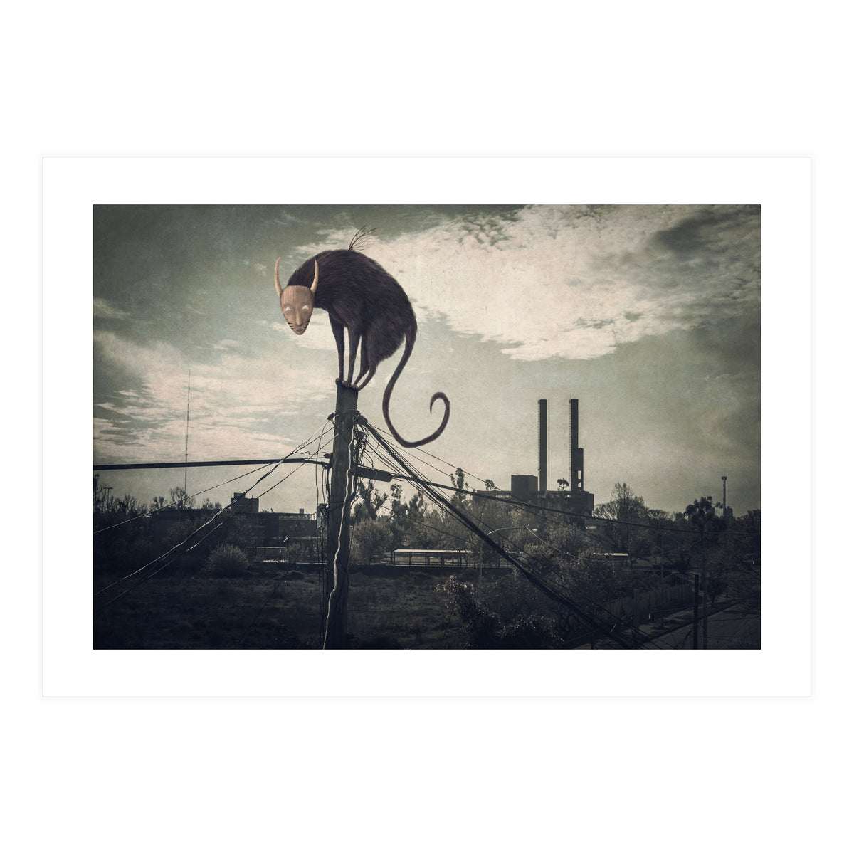 Bicho volador (Print Only)