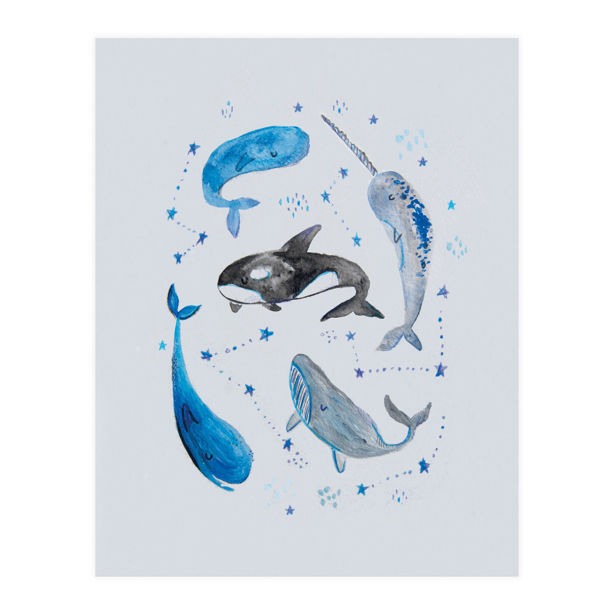 Whales (Print Only)