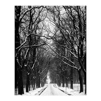 Winterly alley (Print Only)