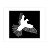 Bird Black (Print Only) thumbnail