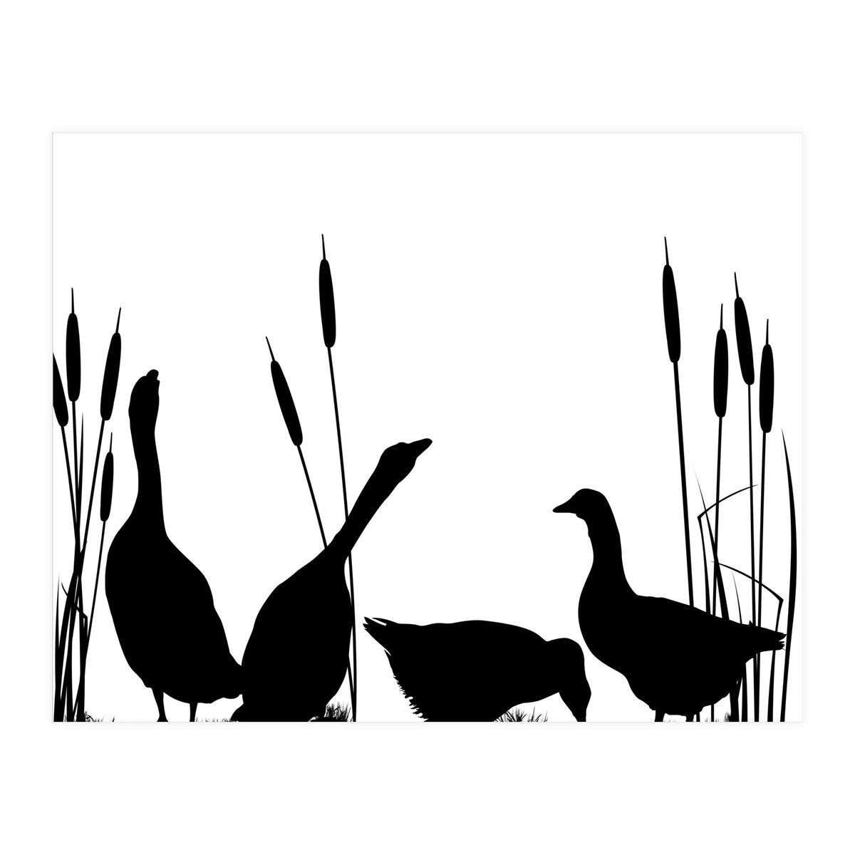 Goose talk too (Print Only)