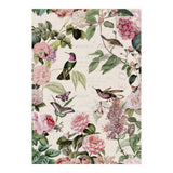 Hummingbirds And Roses (Print Only) thumbnail