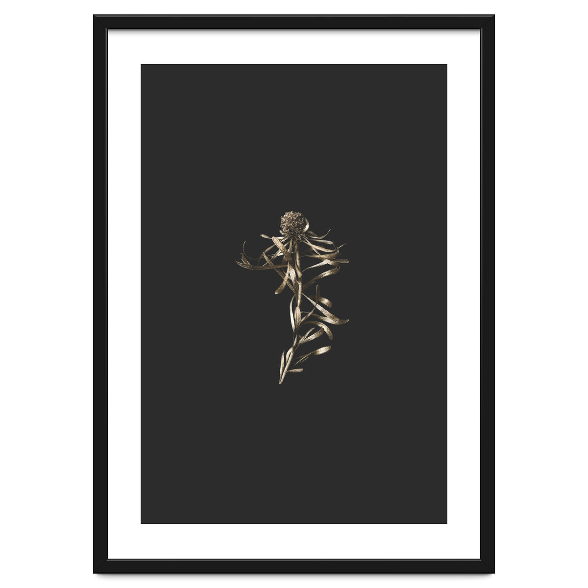 Magical Golden Fynbos