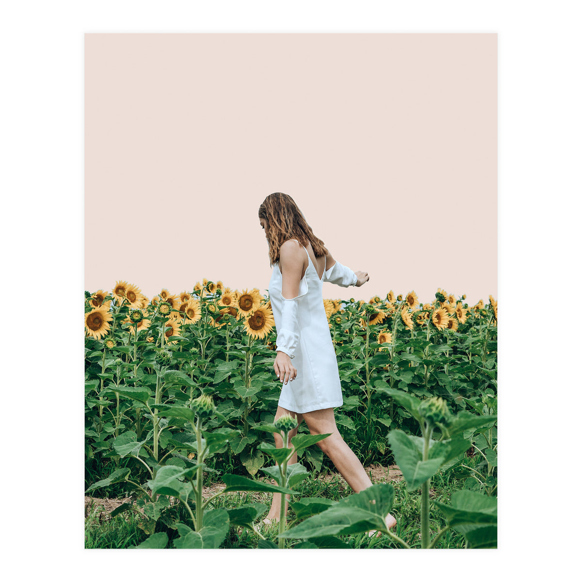 Lost In Sunflowers (Print Only)