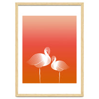 Meditating Flamingos