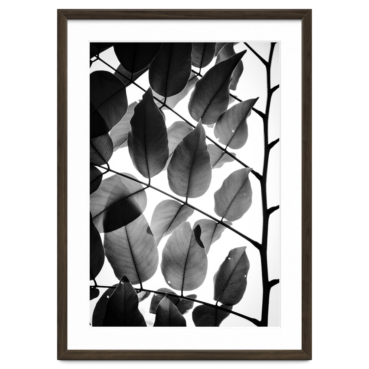 Branches and Leaves II