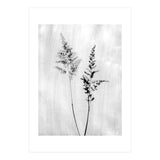 Delicate Wildflowers (Print Only) thumbnail
