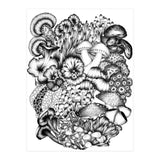 Medley Of Mushrooms (Print Only) thumbnail