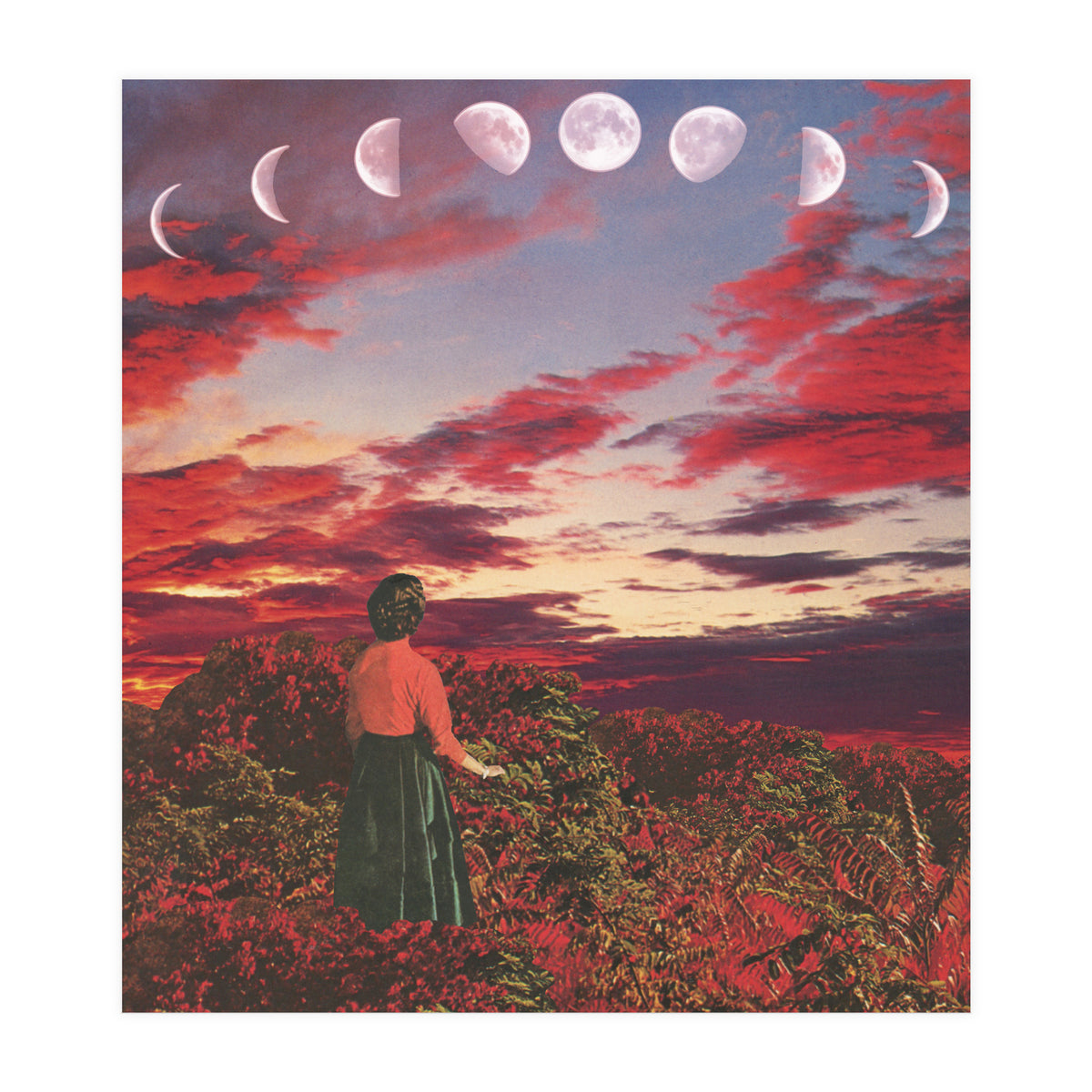 Crimson Paradise (Print Only)