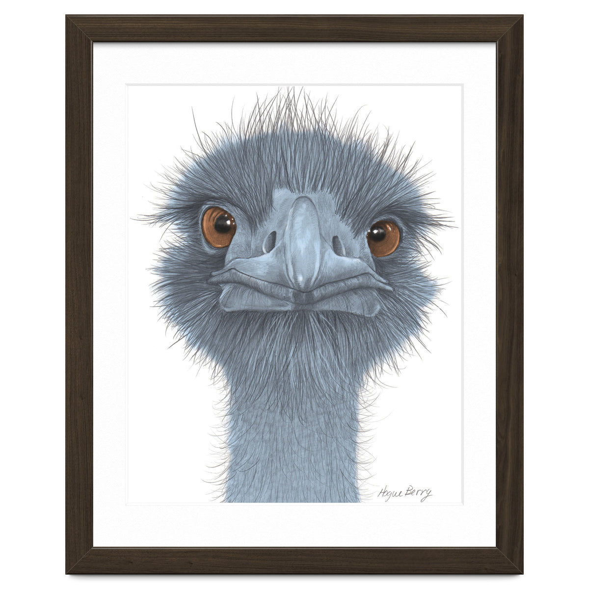 The Blue Emu