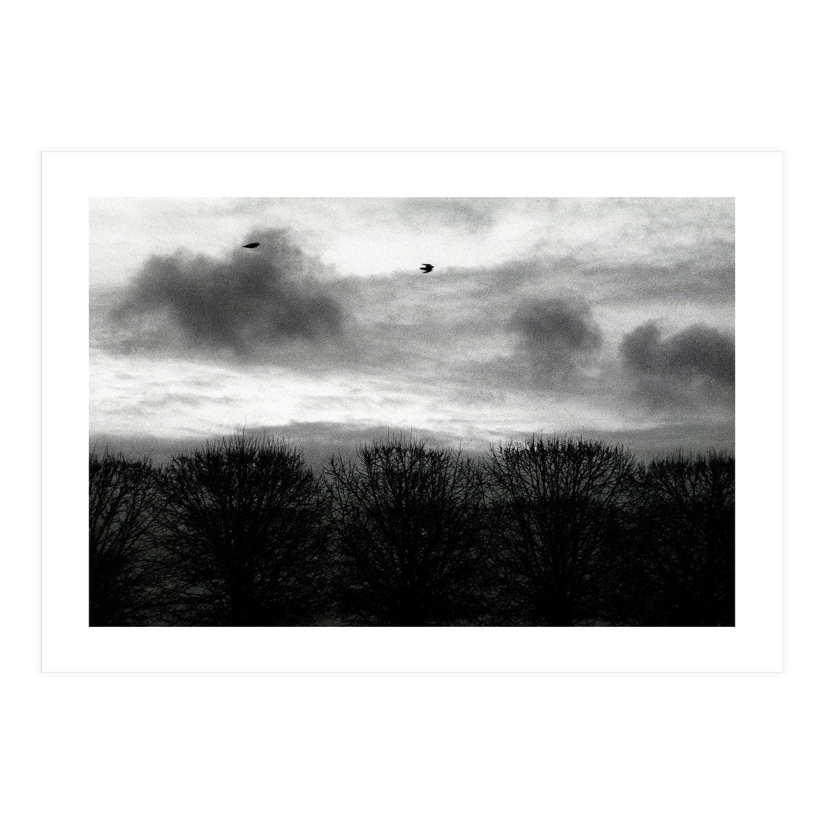 Winter mornig in Paris (Print Only)