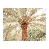 Tropical Palm Tree (Print Only) thumbnail