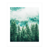 Forest And Fog (Print Only) thumbnail