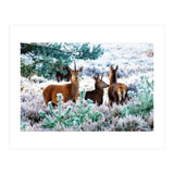 Unicorn Deer (Print Only) thumbnail