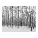 Let It Snow Forest (Print Only) thumbnail