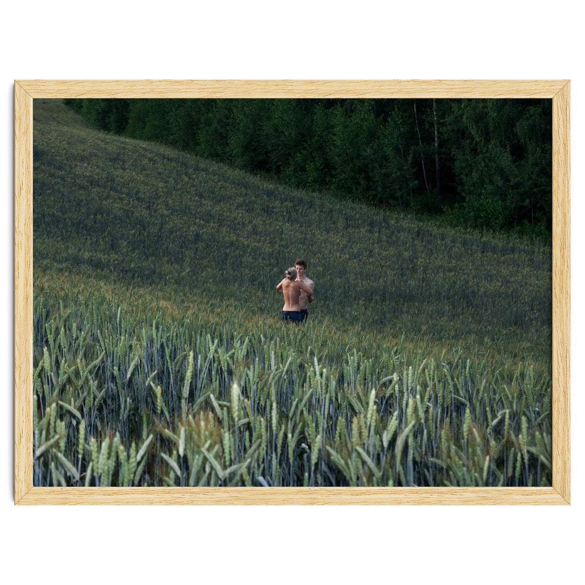 The kids Are all Wild