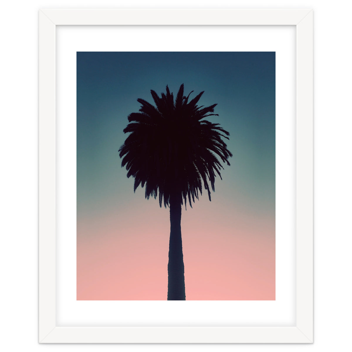 Sundown Palm