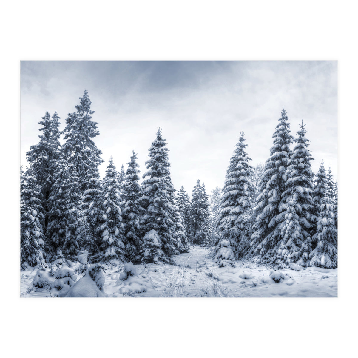 Winterland (Print Only)