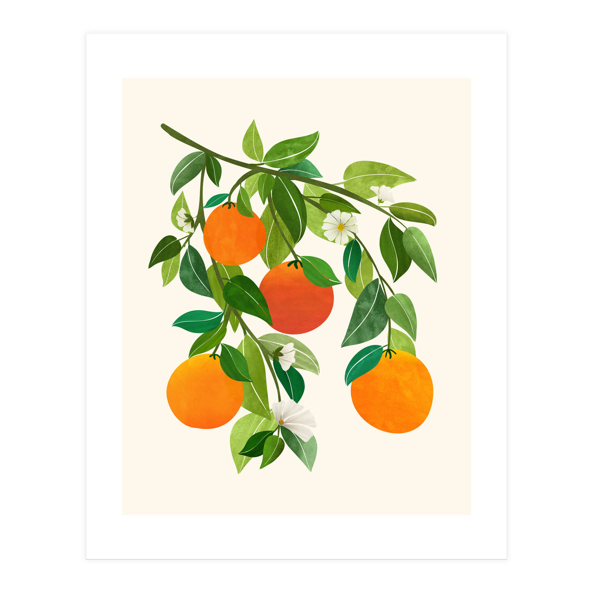 Oranges and Blossoms II (Print Only)