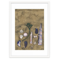 A Beach Still Life