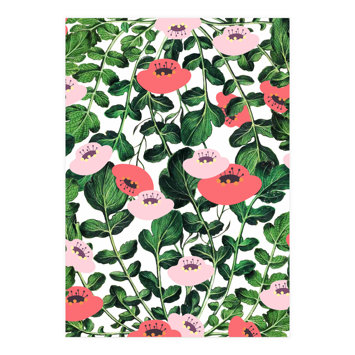 Parsnip & Poppies (Print Only)