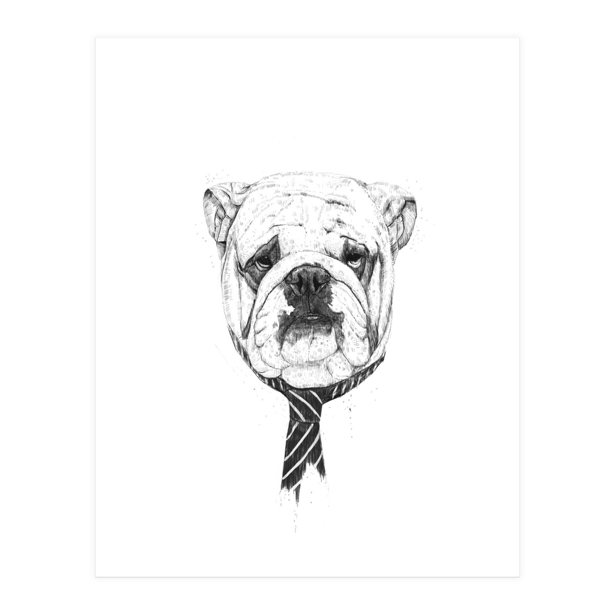 Cooldog (Print Only)