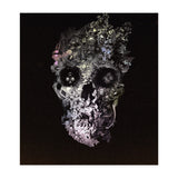 Metamorphosis  (Print Only) thumbnail