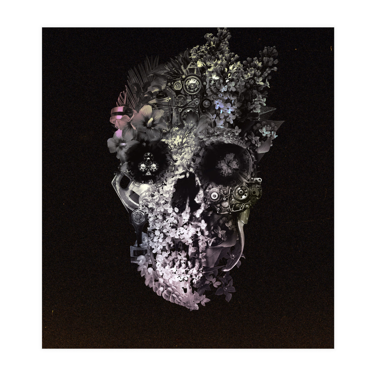 Metamorphosis  (Print Only)