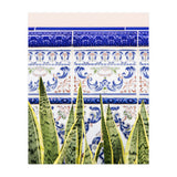 Moroccan Botany (Print Only) thumbnail