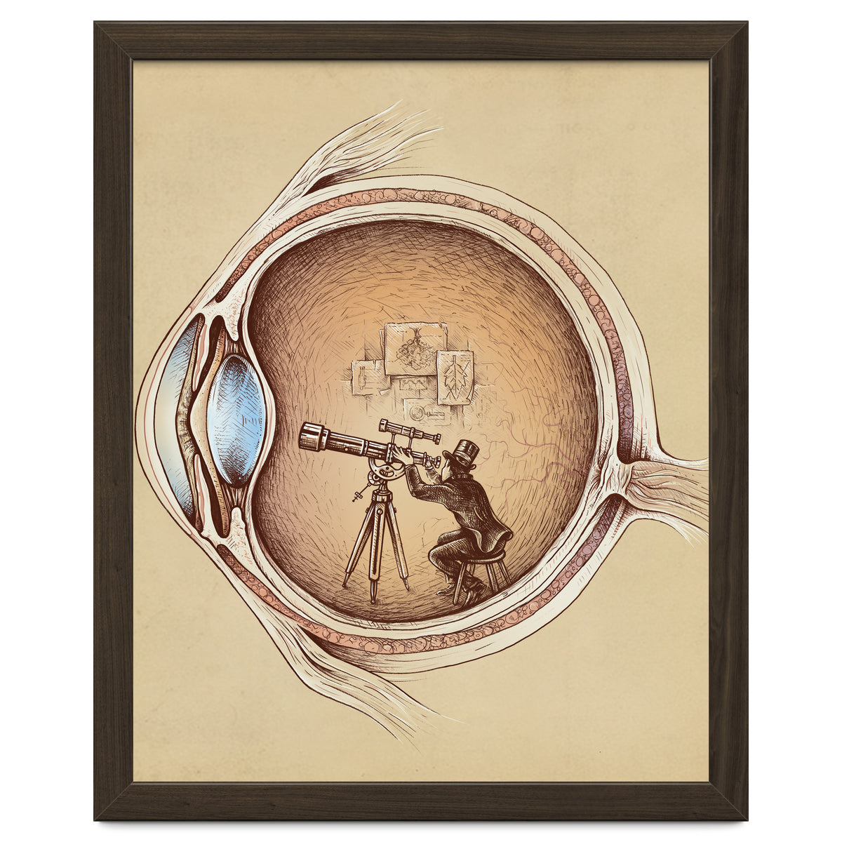 Extraordinary Observer