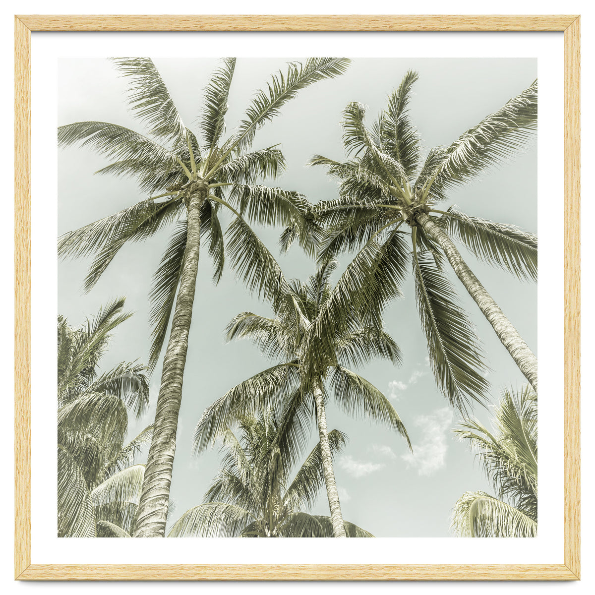 Lovely Palm Trees | Vintage
