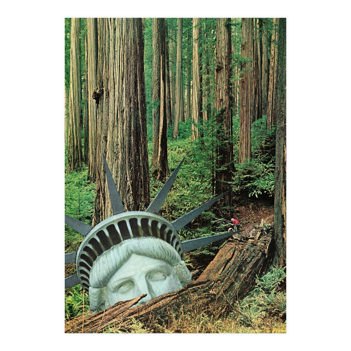 Multiverse (Print Only)