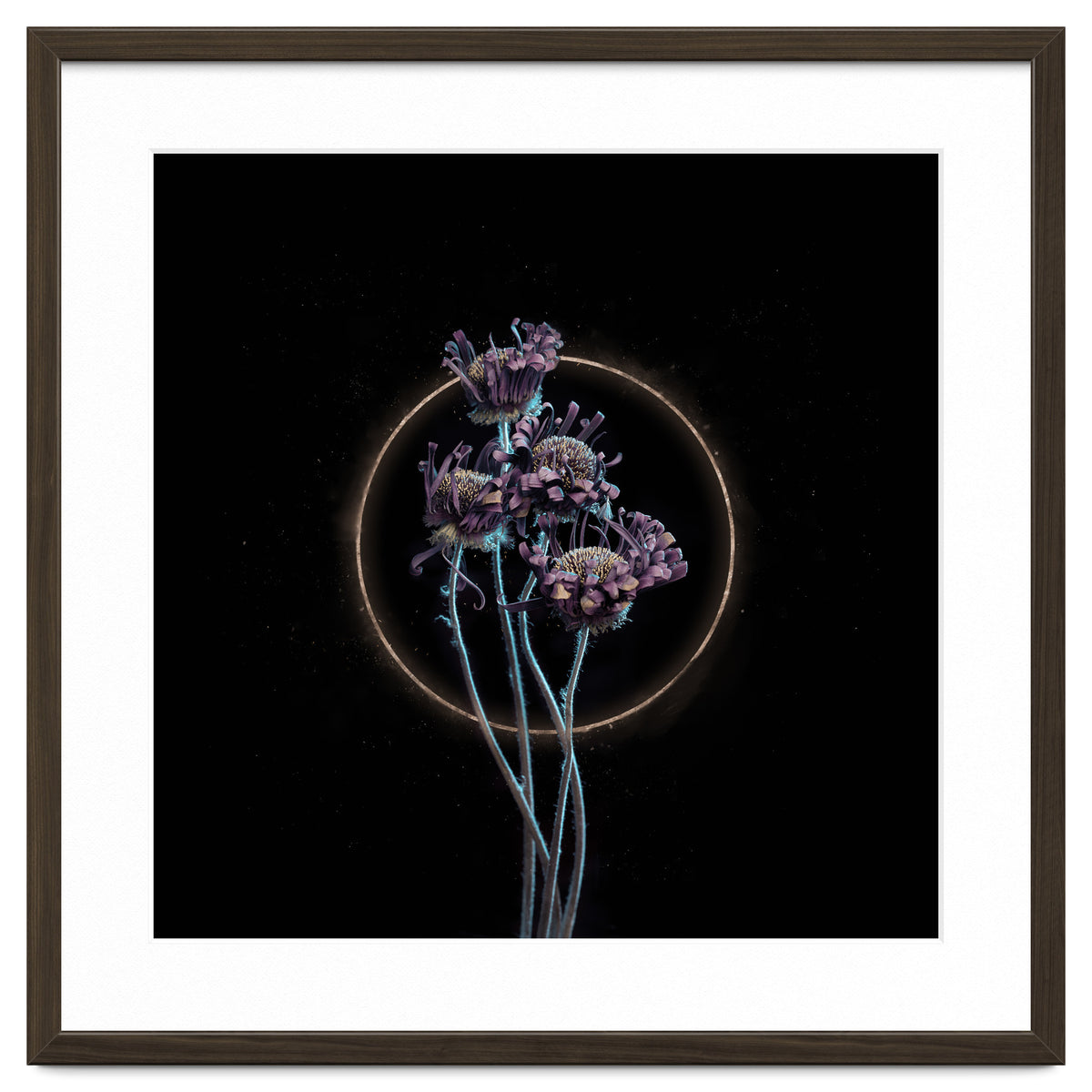 Candy-Coloured Mystery