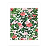 Parsnip & Poppies (Print Only) thumbnail
