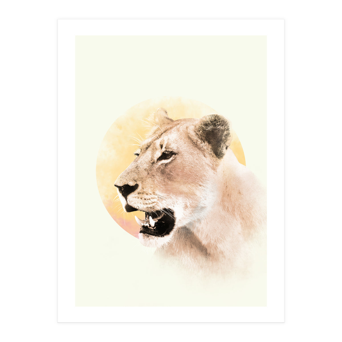 Lioness (Print Only)