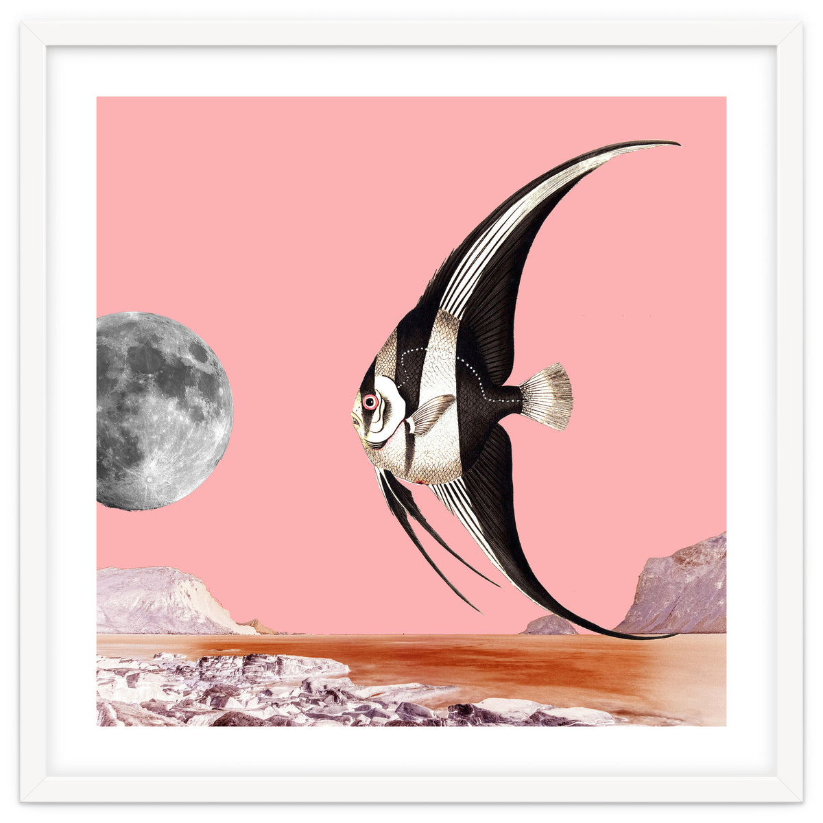 Plenty Of Fish In The Sea Pink