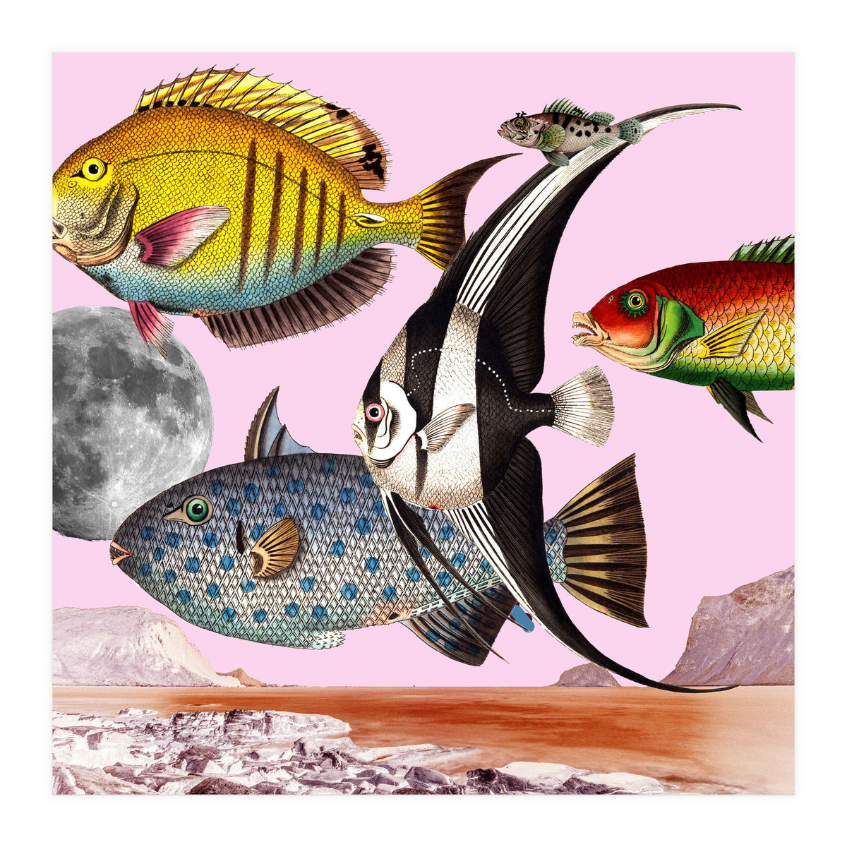 Fish World Pink (Print Only)