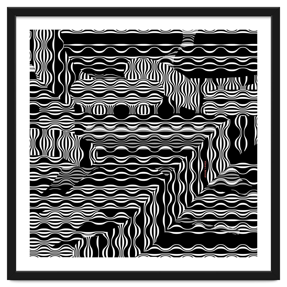 BLACK AND WHITE EXOTIC