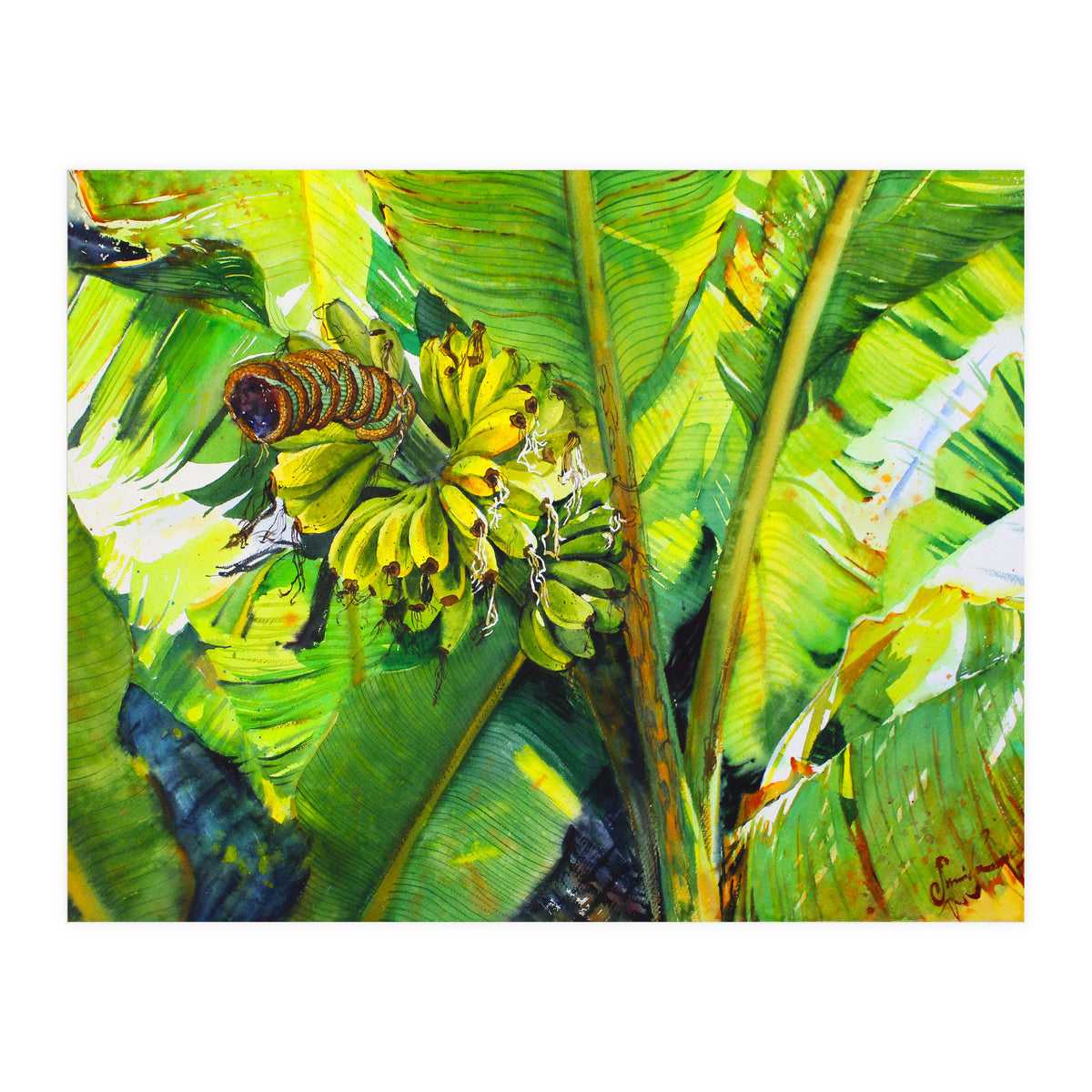 Tropical Fruit (Print Only)