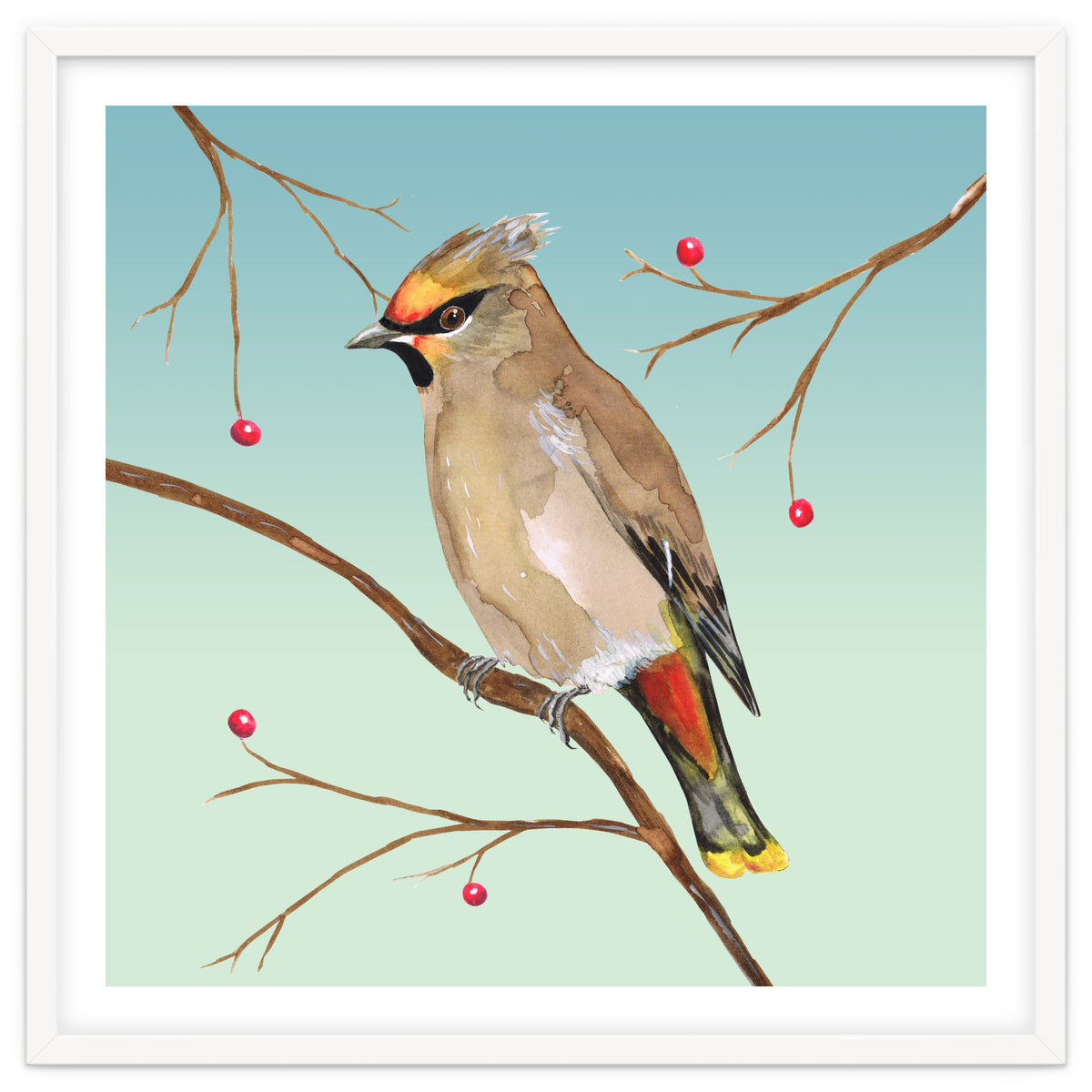 Bohemian waxwing