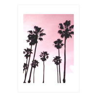 Palms & Sunset (Print Only)